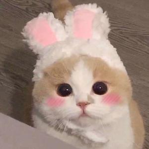 fiee性zozo交体内谢
